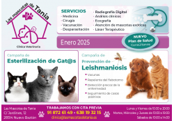 LAS MASCOTAS DE TANIA CLINICA VETERINARIA NUEVO BAZTAN